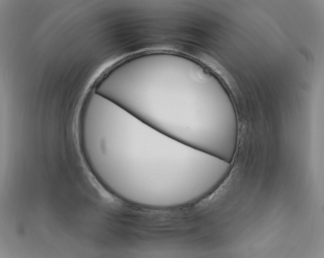 X0000111651127200907171053