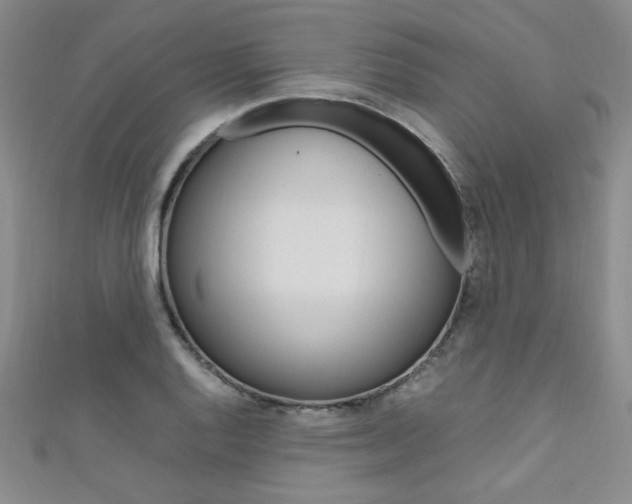 X0000111651128200907171053