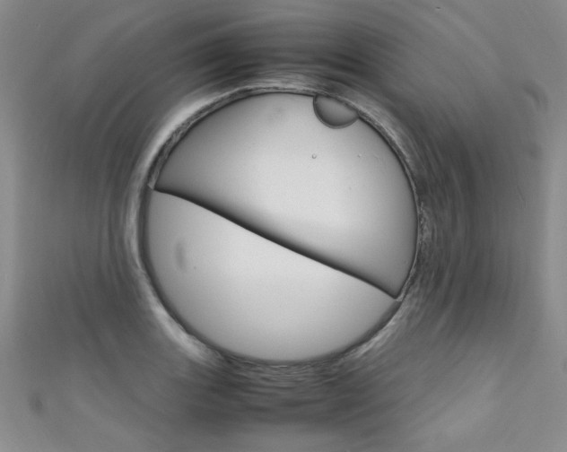 X0000111651131200907171053