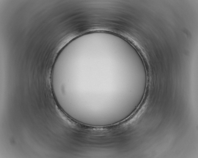 X0000111651137200907171053