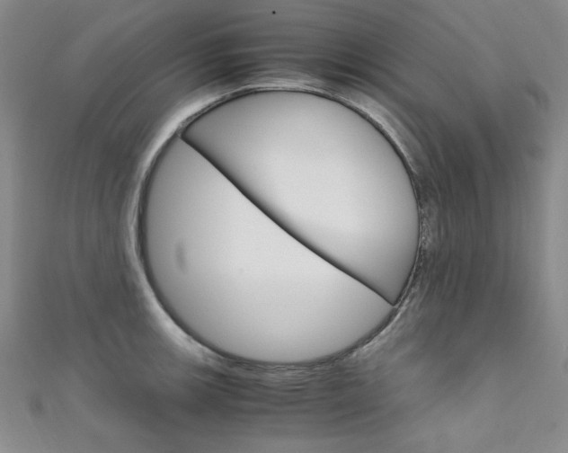 X0000111651139200907171053