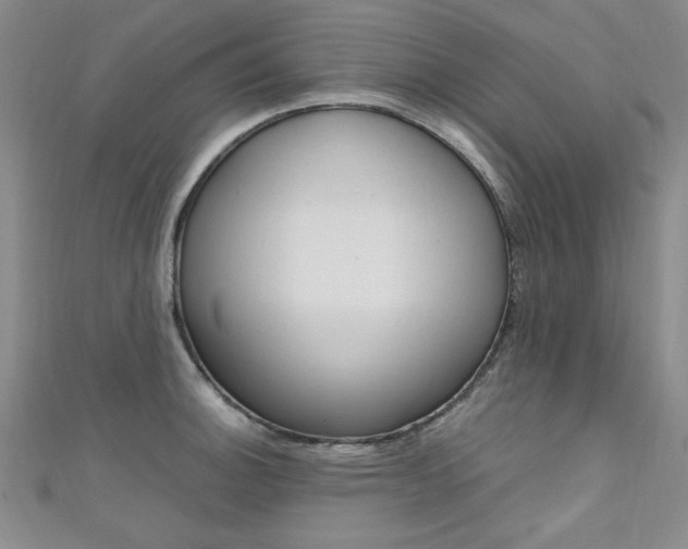 X0000111651140200907171053