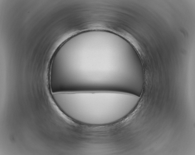 X0000111651142200907171053