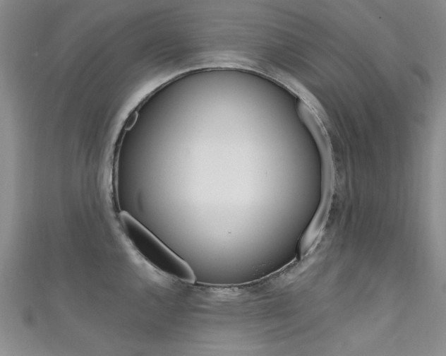 X0000111651144200907171053