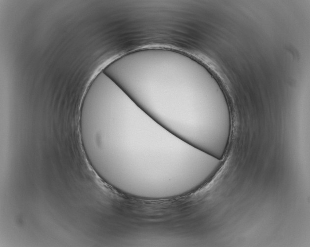 X0000111651145200907171053