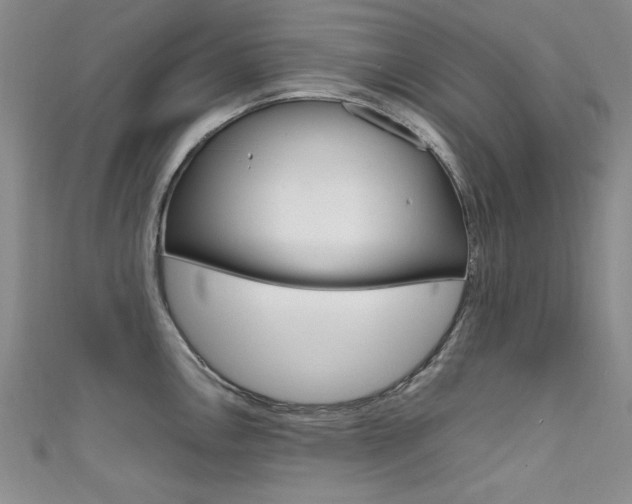 X0000111651146200907171053