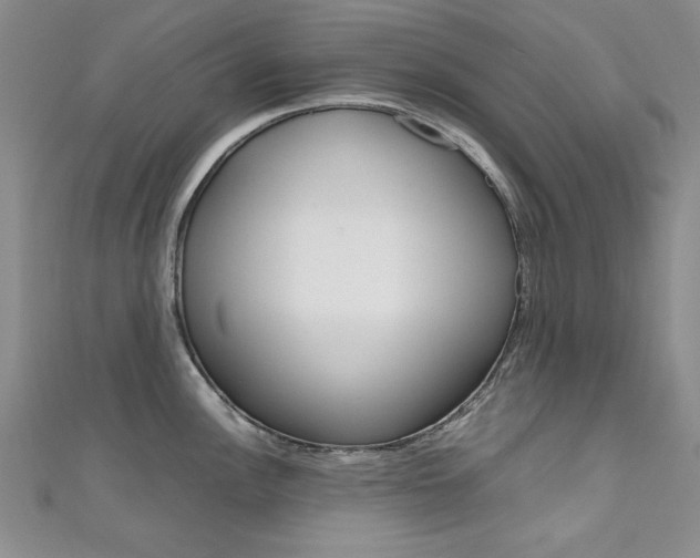 X0000111651148200907171053