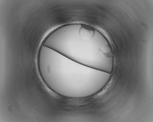X0000111651149200907171053