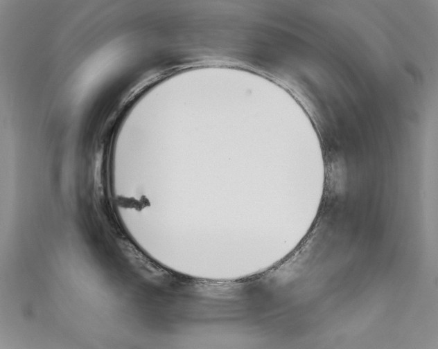 X0000111651150200907171053