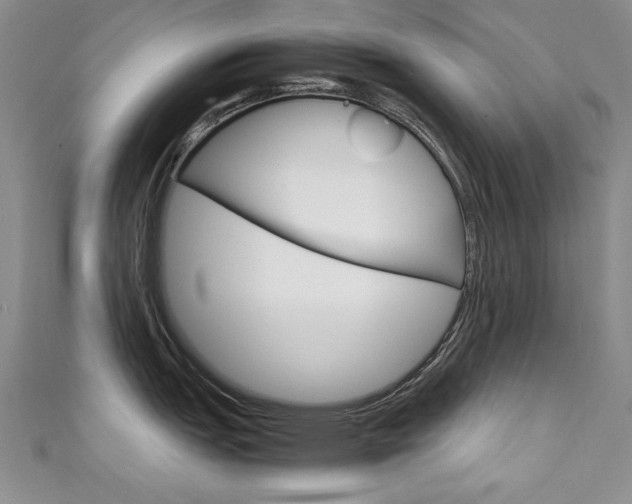 X0000111651151200907171053