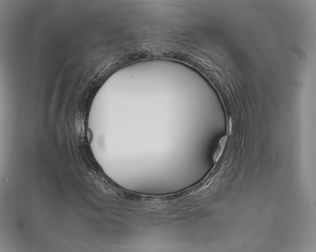 X0000111651155200907171053