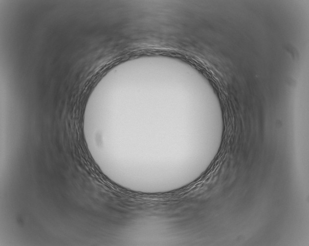 X0000111651157200907171053