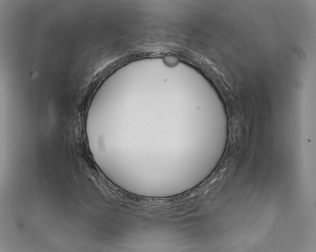 X0000111651158200907171053