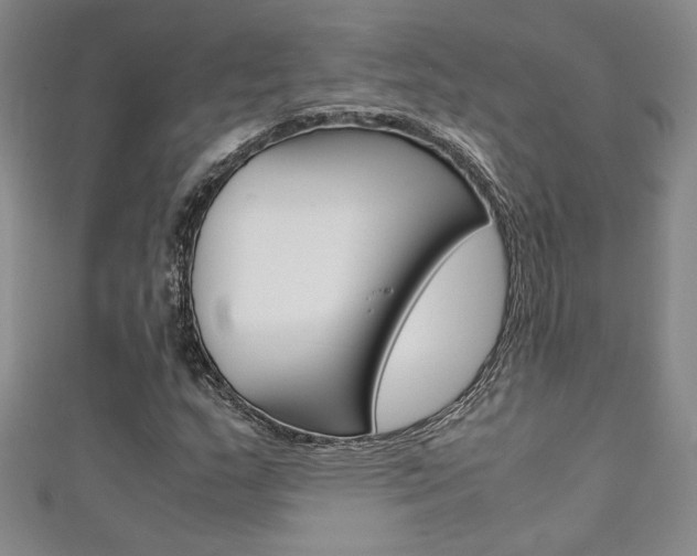 X0000111651159200907171053