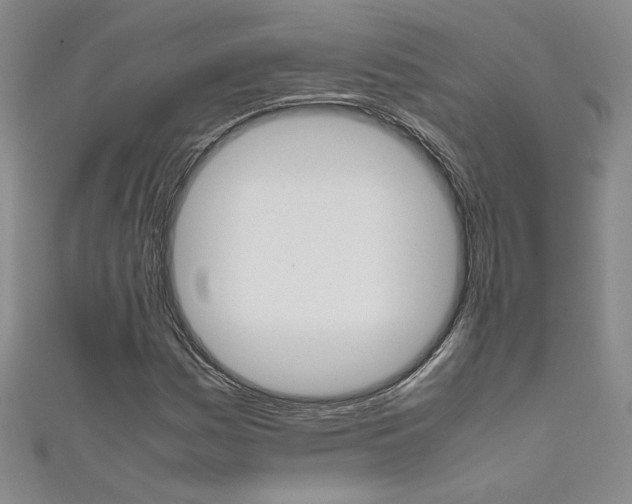 X0000111651161200907171053