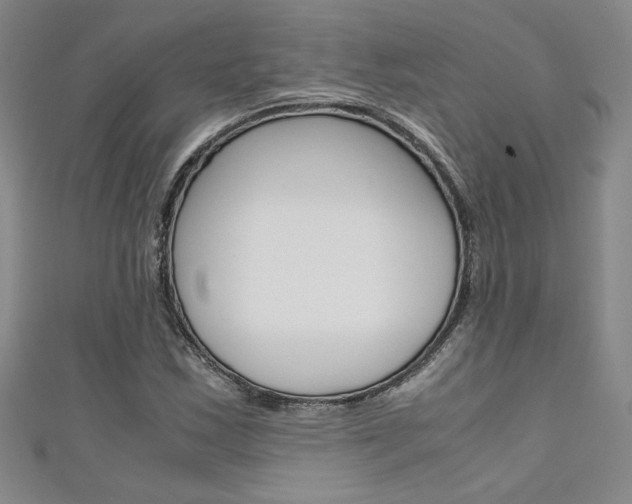 X0000111651163200907171052