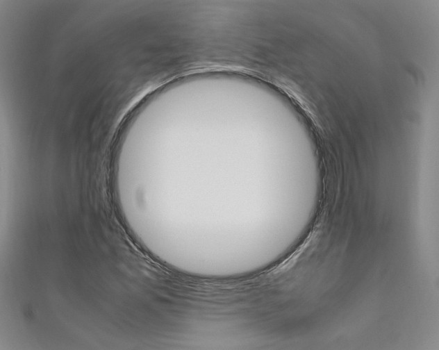 X0000111651165200907171052