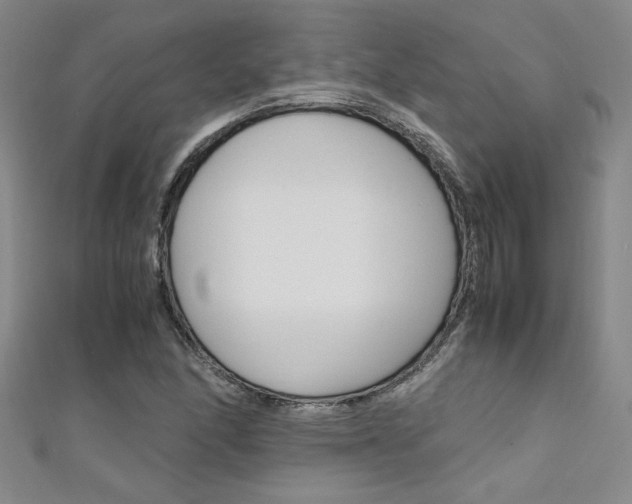 X0000111651166200907171052