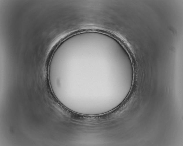 X0000111651167200907171052
