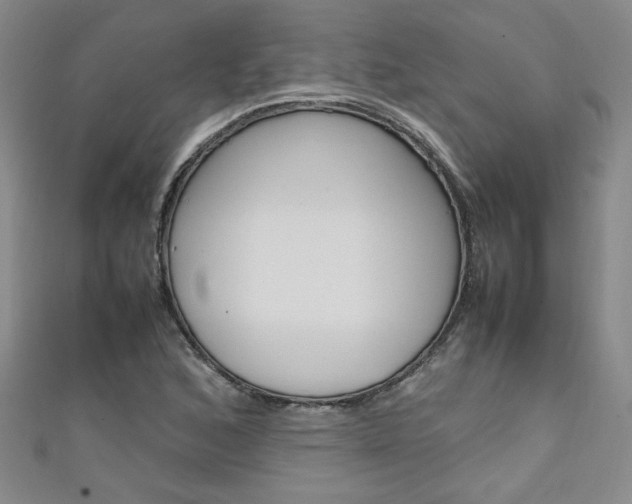 X0000111651168200907171052