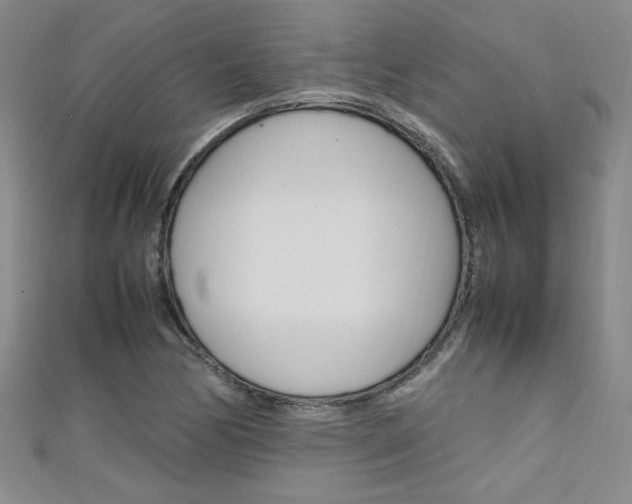 X0000111651170200907171052