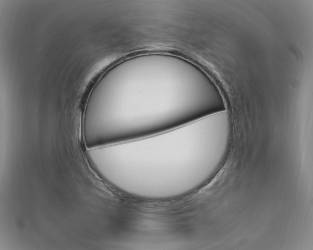 X0000111651171200907171052