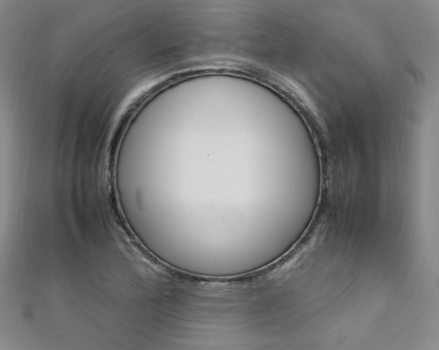 X0000111651172200907171052