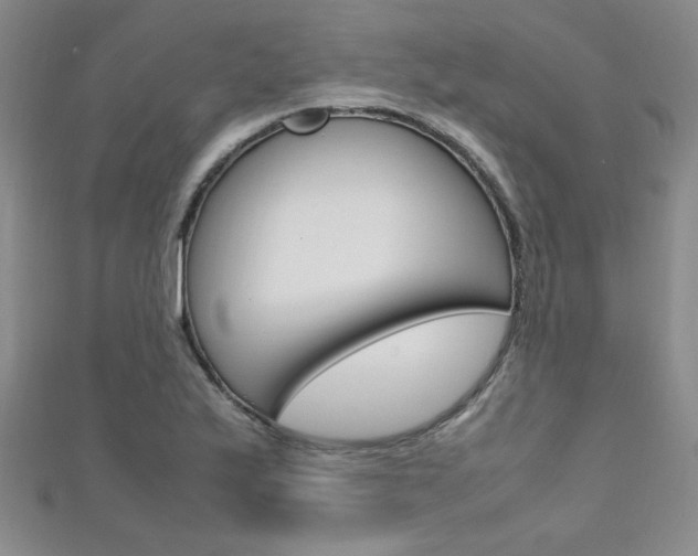 X0000111651175200907171052