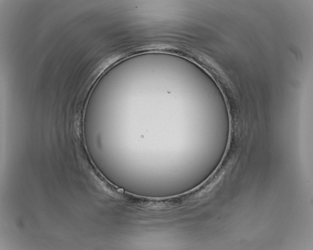 X0000111651177200907171052
