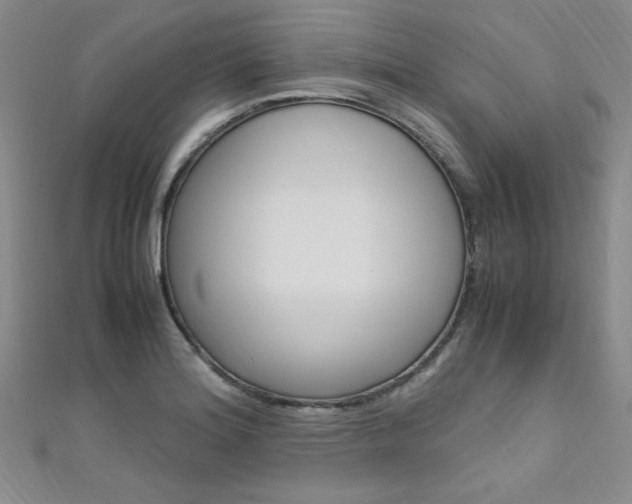 X0000111651180200907171052