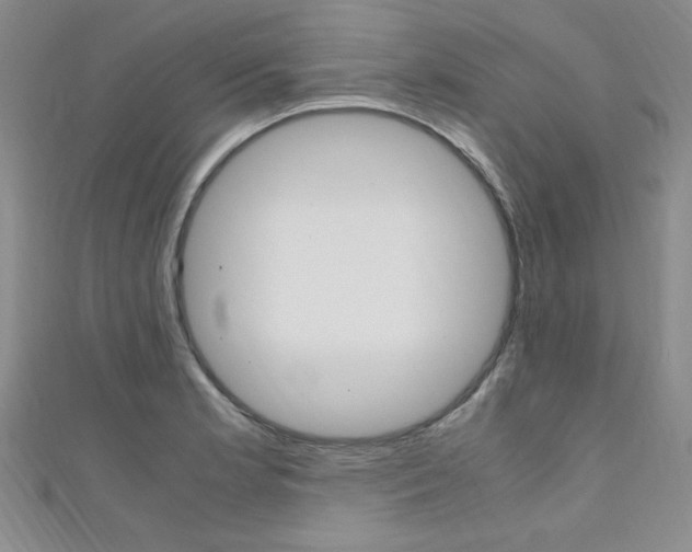 X0000111651181200907171052