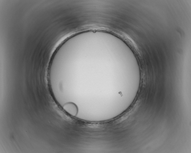 X0000111651182200907171052