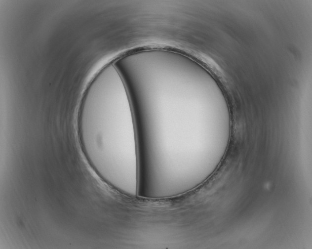 X0000111651183200907171052
