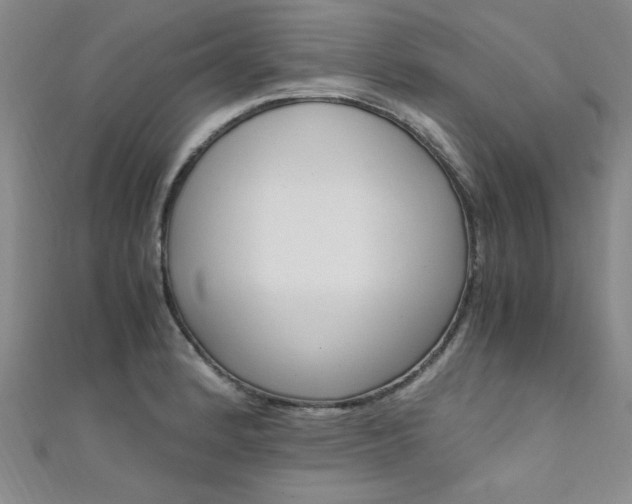 X0000111651184200907171052