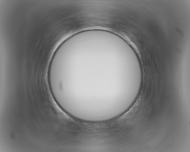X0000111651189200907171052