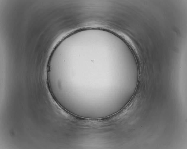 X0000111651191200907171052