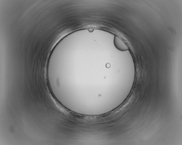 X0000111651194200907171052
