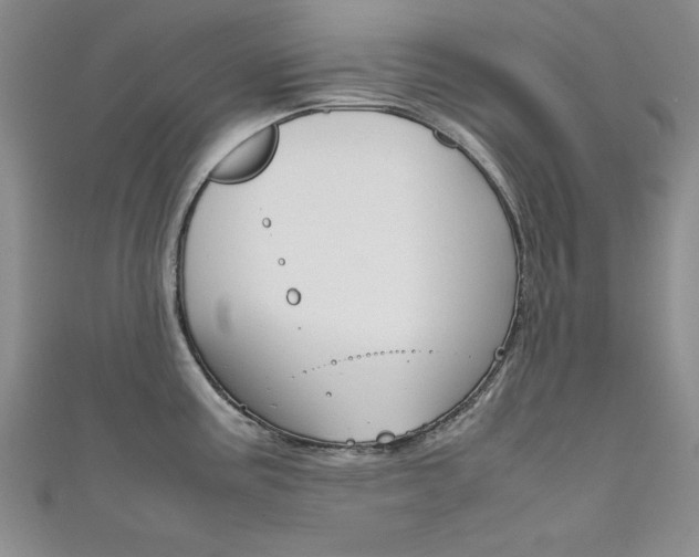 X0000111651195200907171052