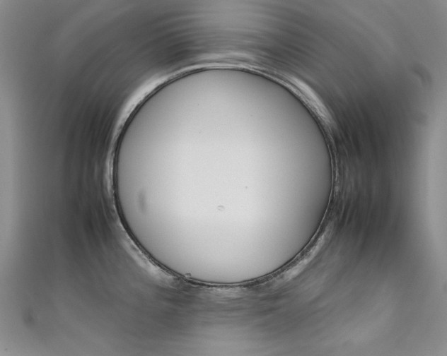 X0000111651196200907171052
