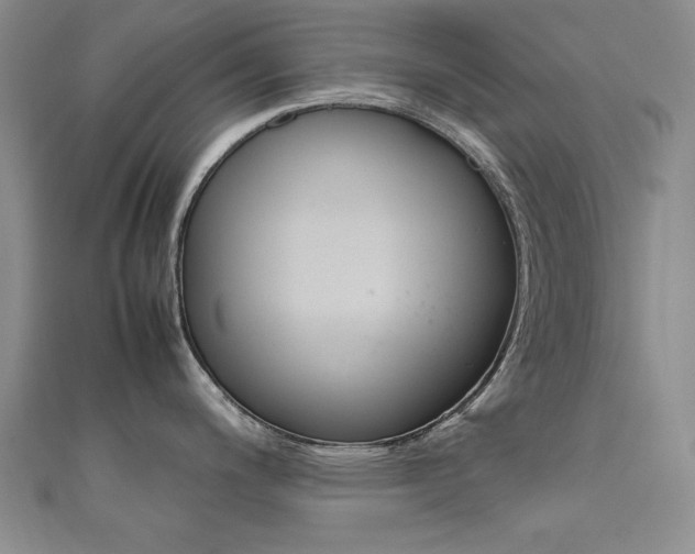X0000111651200200907171052