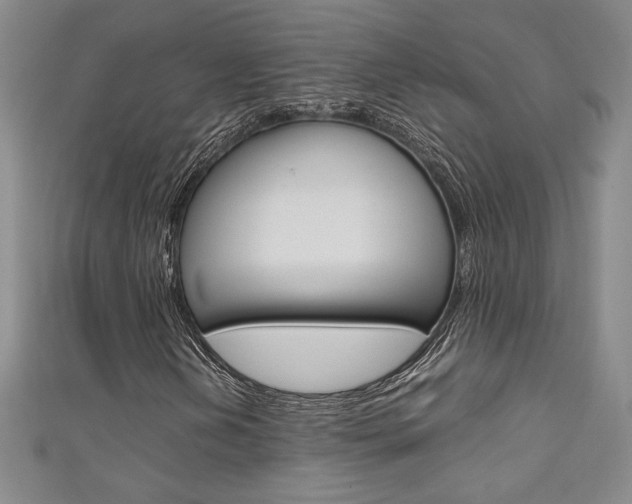 X0000111651202200907171051