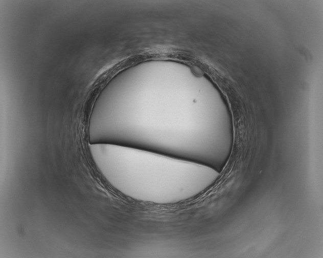 X0000111651206200907171051