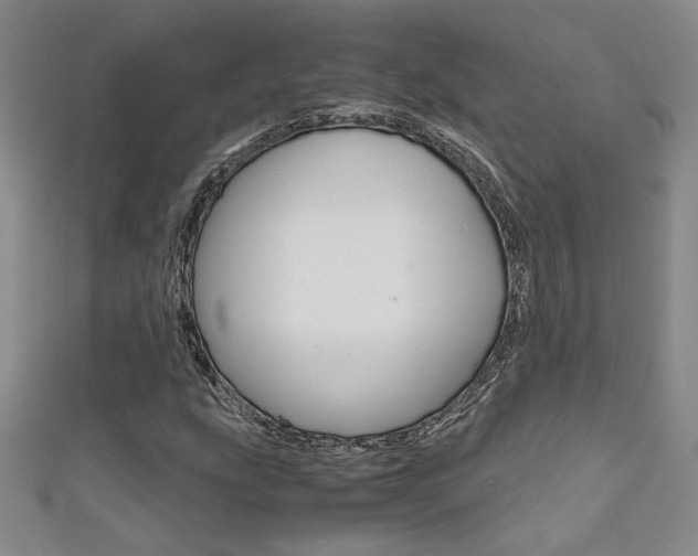 X0000111651207200907171051