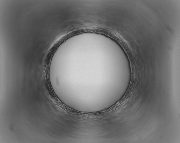 X0000111651208200907171051