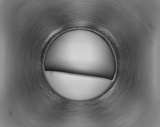 X0000111651210200907171052