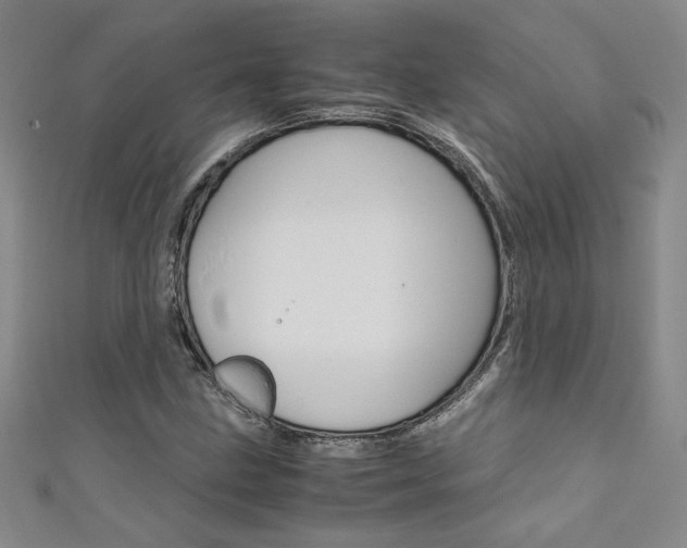 X0000111651211200907171052