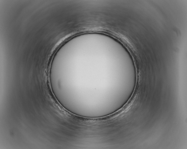 X0000111651212200907171052