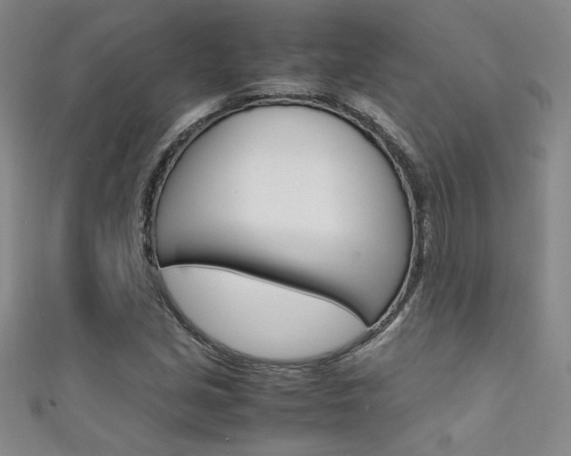 X0000111651213200907171052