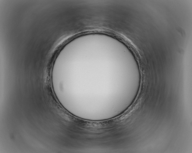 X0000111651215200907171052