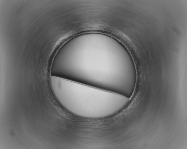 X0000111651218200907171052